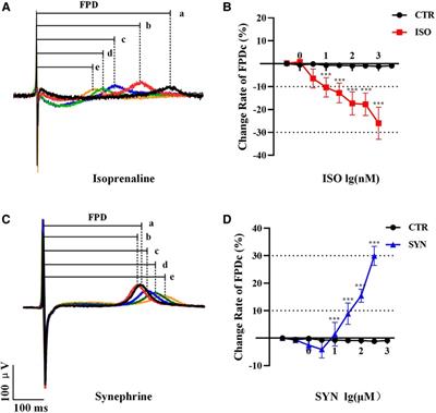 Non-invasive assessment of proarrhythmic risks associated with isoprenaline and the dietary supplement ingredient synephrine using human induced pluripotent stem cell-derived cardiomyocytes